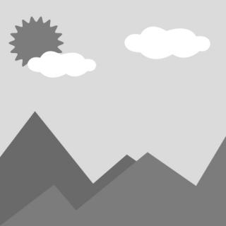 أمان عالي، طرق متعددة لفتح القفل، IP66، بصمة الإصبع، كلمة المرور، Rfidwifi، ملف تعريف معياري رقمي قابل للتعديل، تطبيق Tuya/Tt، أسطوانة قفل الباب الإلكتروني الذكي (5F01)